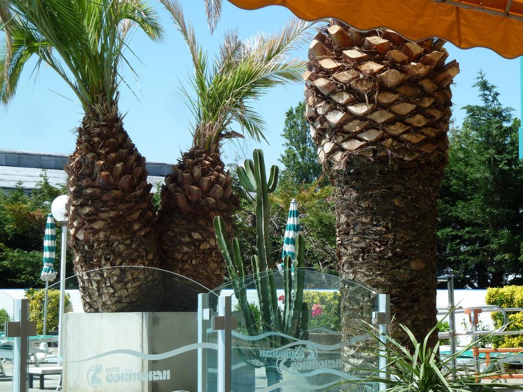 Hotel Cormoran Каттолика Экстерьер фото